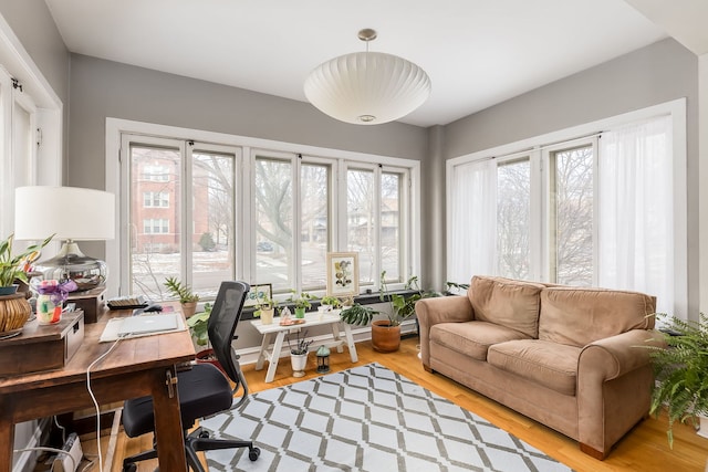 office area with wood finished floors