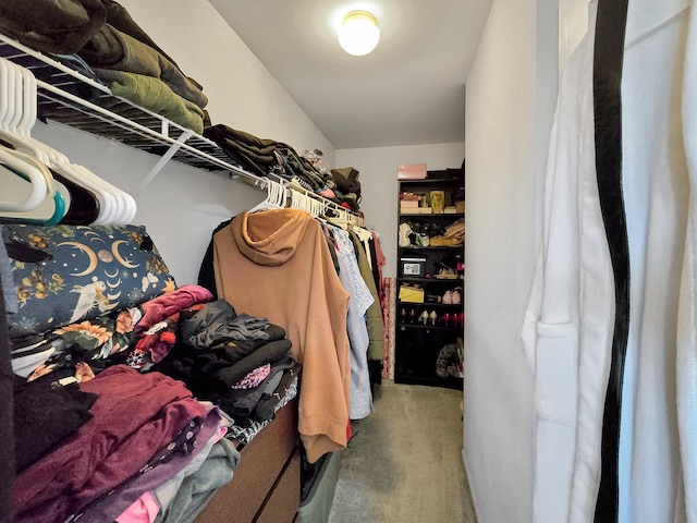 walk in closet featuring carpet flooring