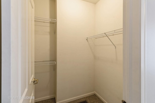 view of walk in closet