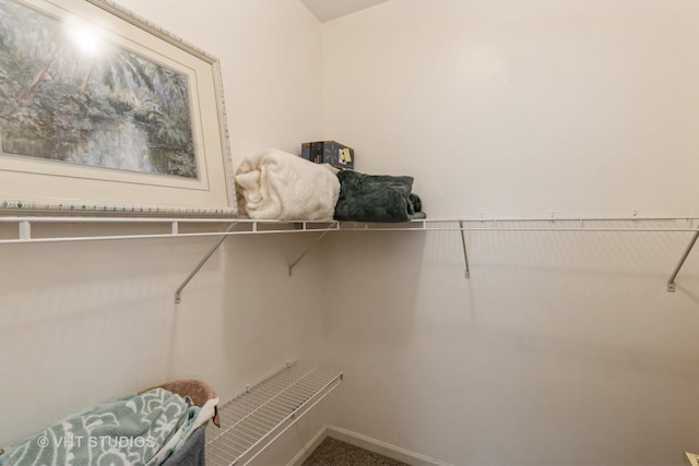 spacious closet with carpet floors