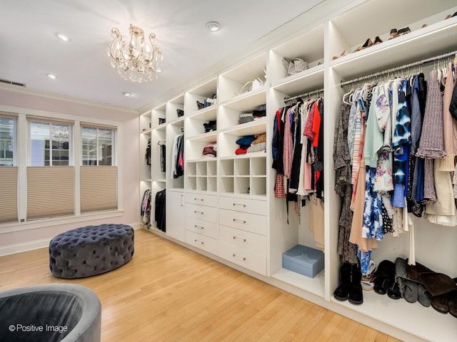 spacious closet featuring visible vents, a chandelier, and wood finished floors