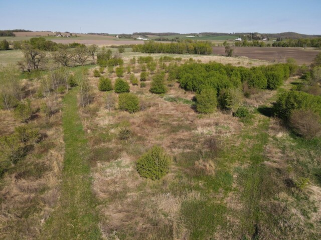 000 County Rd M Rd, Browntown, WI 53522 - photo 21