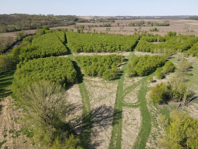 000 County Rd M Rd, Browntown, WI 53522 - photo 31