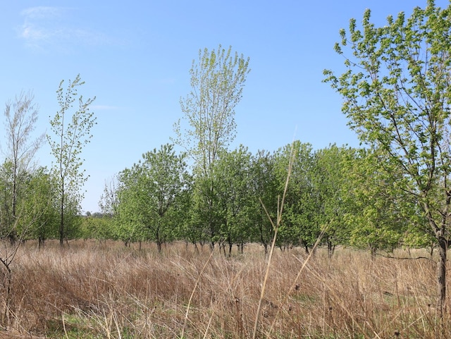 000 County Rd M Rd, Browntown, WI 53522 - photo 34