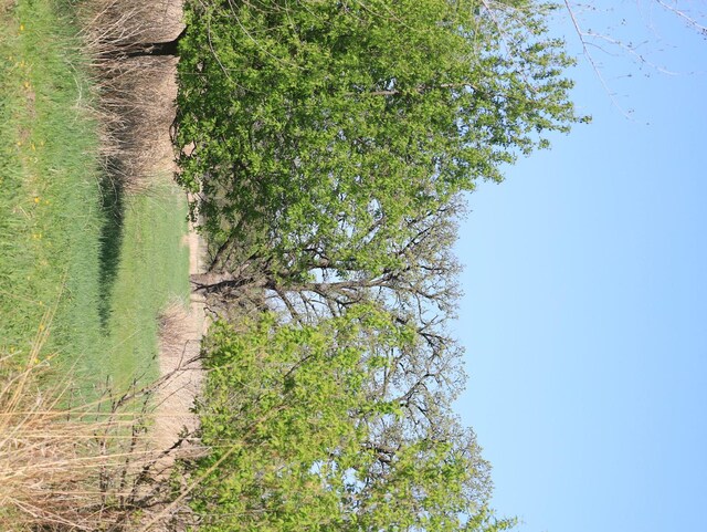 000 County Rd M Rd, Browntown, WI 53522 - photo 35
