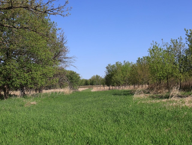 000 County Rd M Rd, Browntown, WI 53522 - photo 38