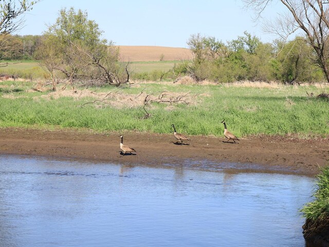 000 County Rd M Rd, Browntown, WI 53522 - photo 47