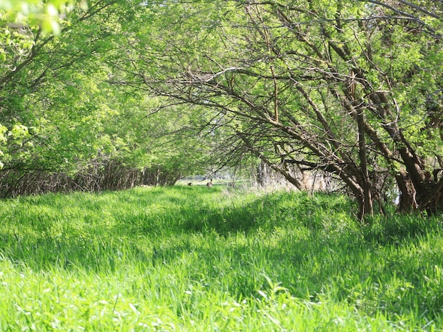 000 County Rd M Rd, Browntown, WI 53522 - photo 53