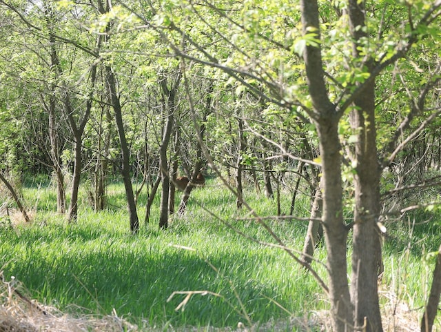 000 County Rd M Rd, Browntown, WI 53522 - photo 57