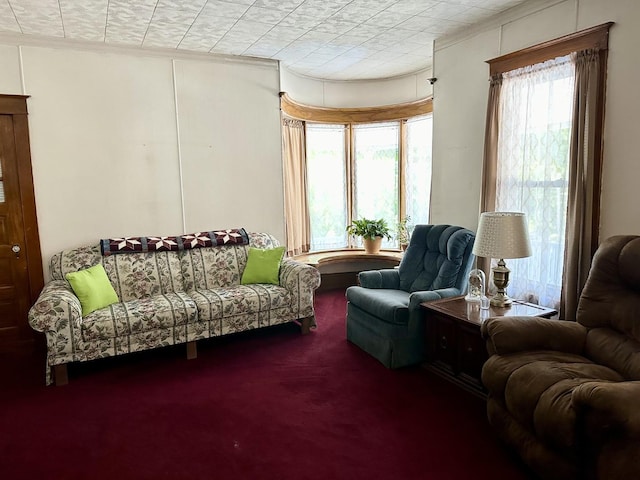 sitting room featuring carpet floors