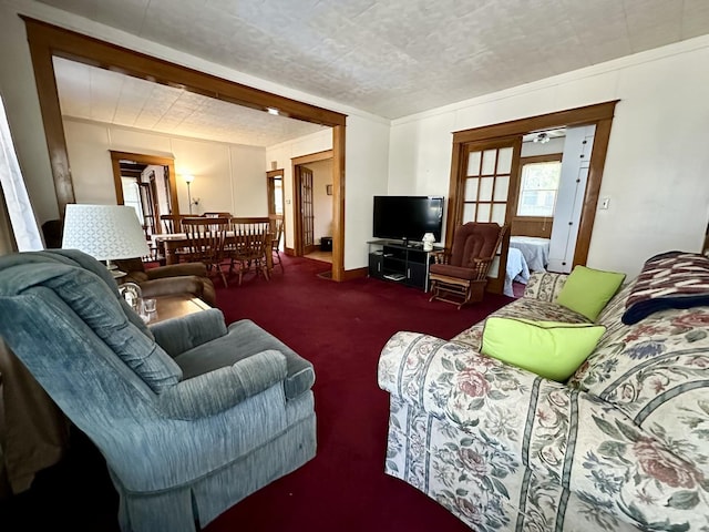 living area featuring dark colored carpet