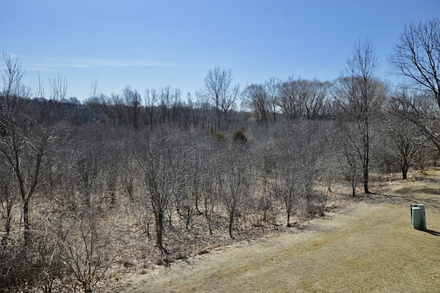 view of local wilderness