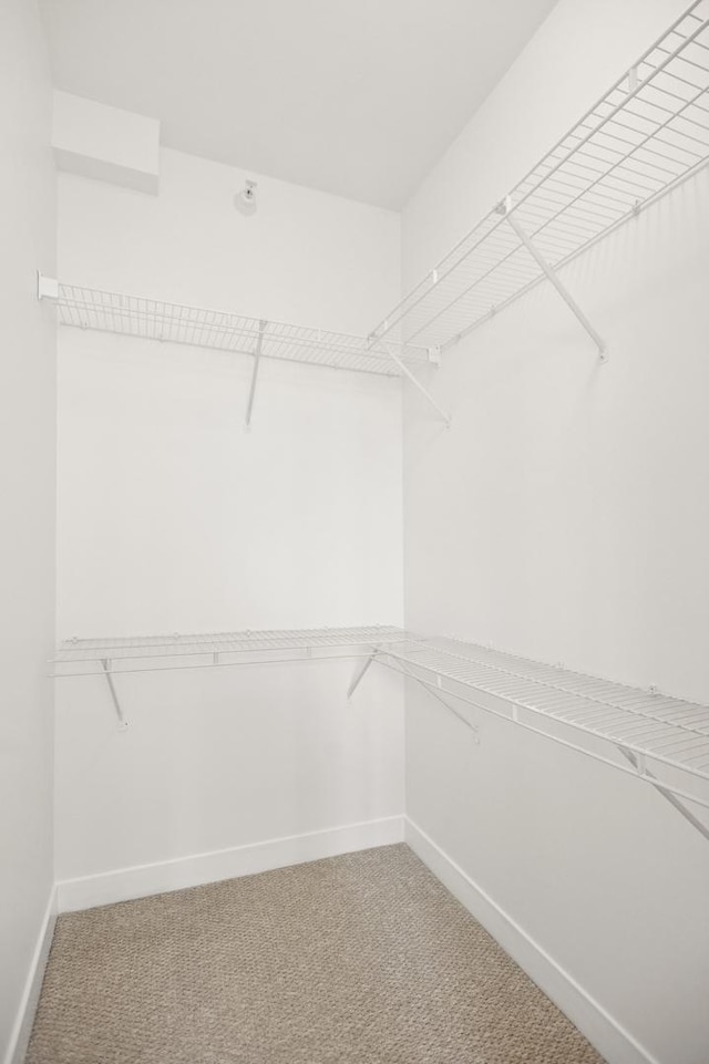 spacious closet featuring light carpet