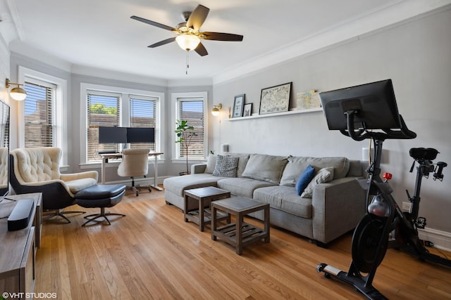 living area featuring light wood-type flooring, ceiling fan, baseboards, and ornamental molding
