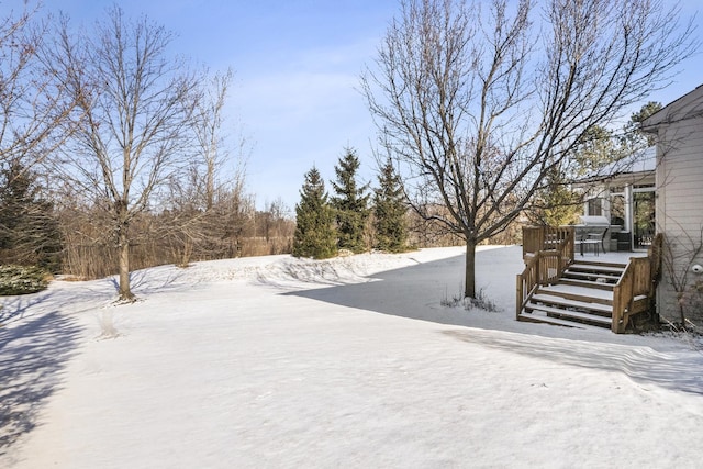 view of yard covered in snow