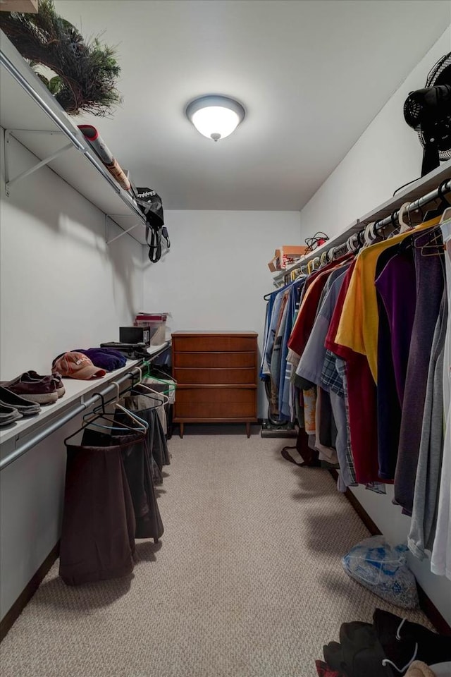 spacious closet featuring light carpet