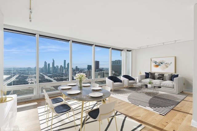 interior space with expansive windows, light wood-type flooring, rail lighting, and a city view