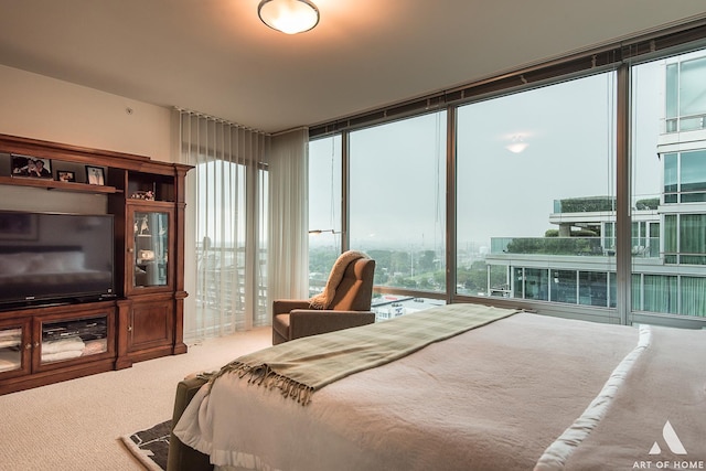 carpeted bedroom with multiple windows and expansive windows