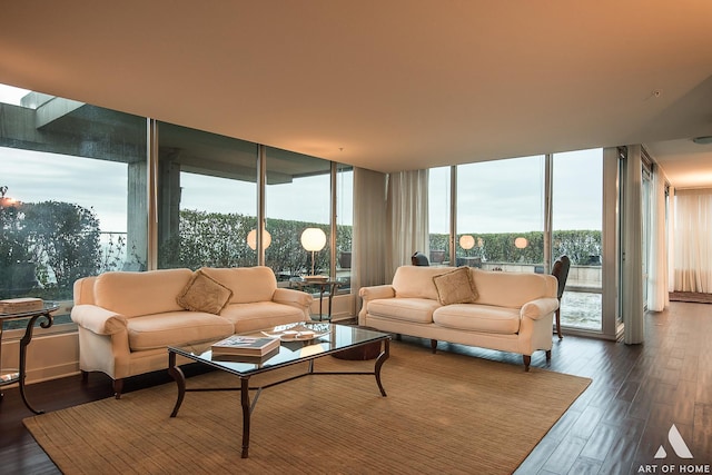 living area featuring dark wood finished floors, a healthy amount of sunlight, and expansive windows