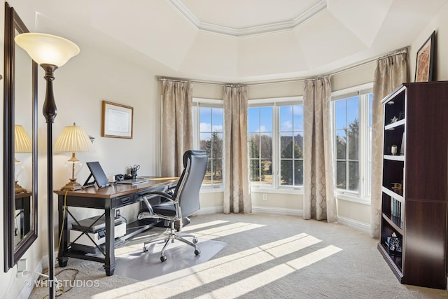 carpeted office space featuring crown molding, a raised ceiling, and baseboards