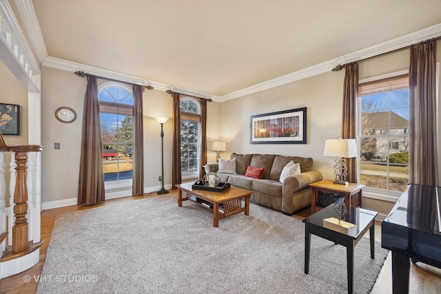 living room featuring crown molding, plenty of natural light, wood finished floors, and baseboards