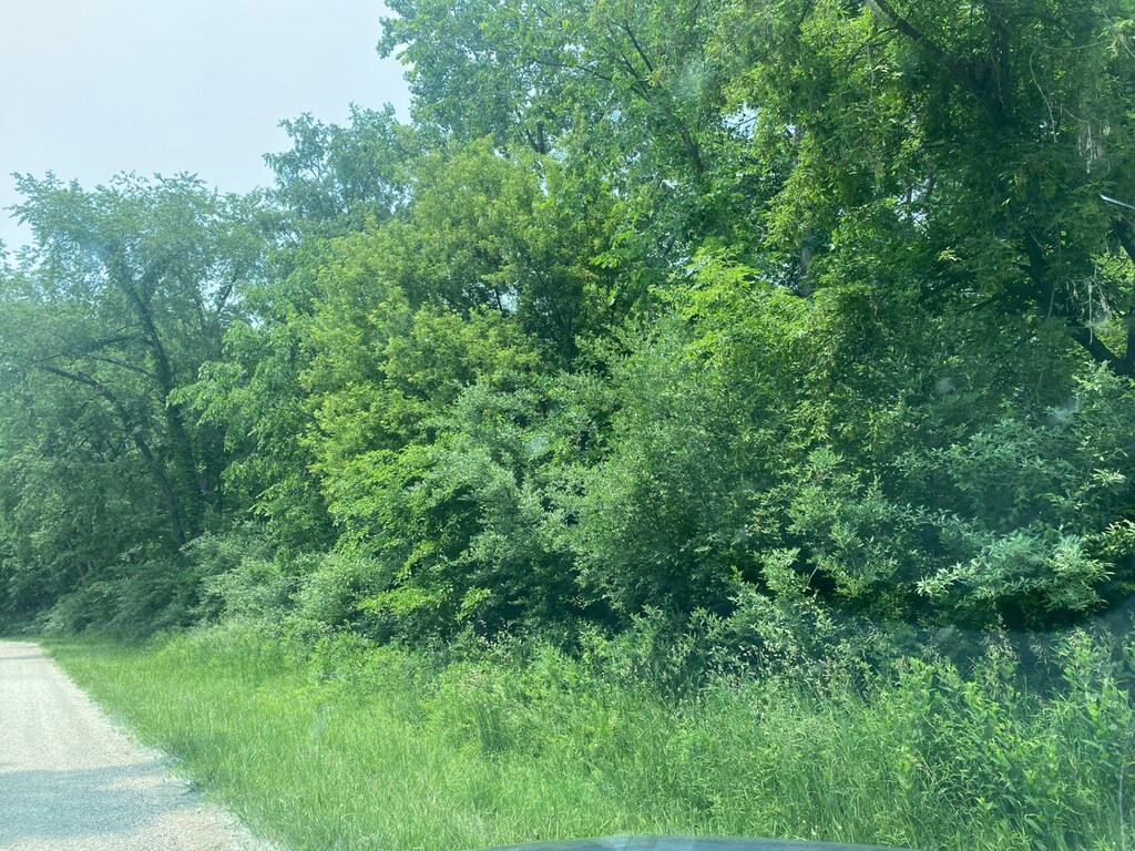 12 Skinner Dr, Putnam, IL 61560 - photo 1