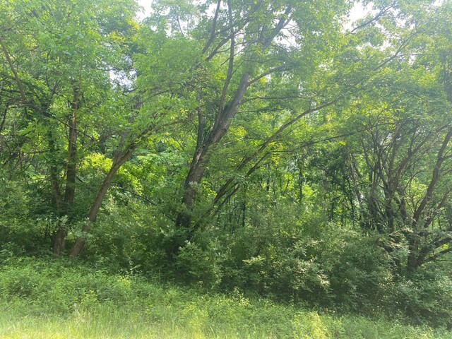 12 Skinner Dr, Putnam, IL 61560 - photo 2