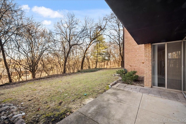 view of yard featuring a patio