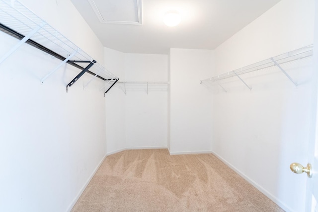 spacious closet featuring light carpet