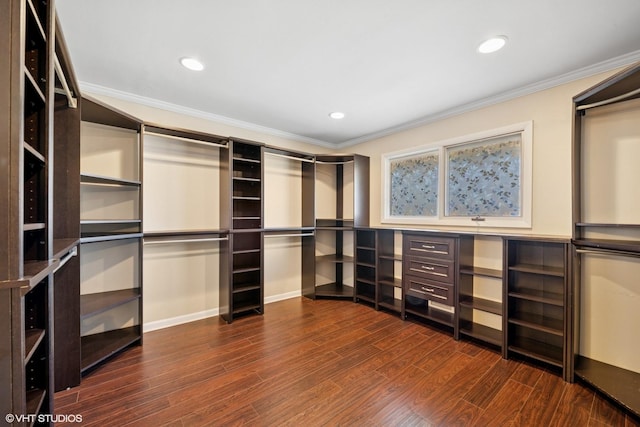 walk in closet featuring dark wood-type flooring