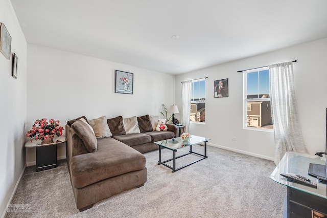 living area with carpet and baseboards