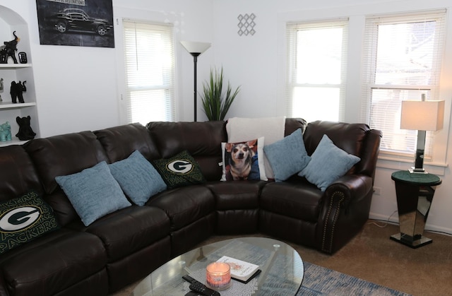 view of carpeted living area