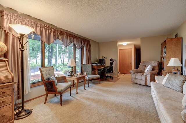 living area with carpet, a textured ceiling, and baseboards