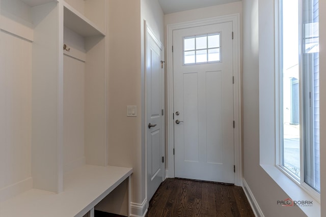 mudroom with dark wood-style flooring and a wealth of natural light