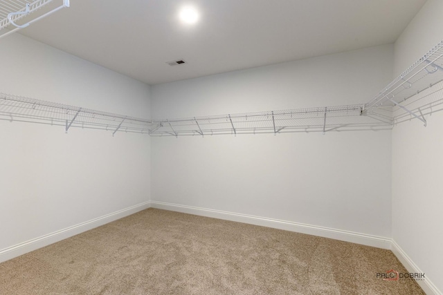 walk in closet featuring carpet flooring