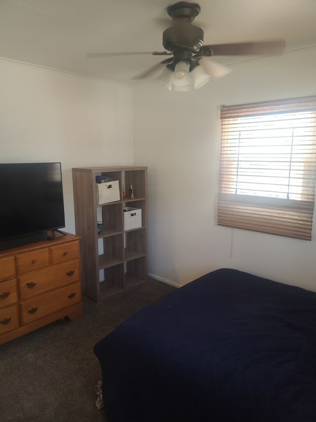 bedroom with ceiling fan and carpet flooring