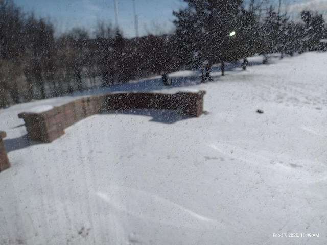 view of yard covered in snow