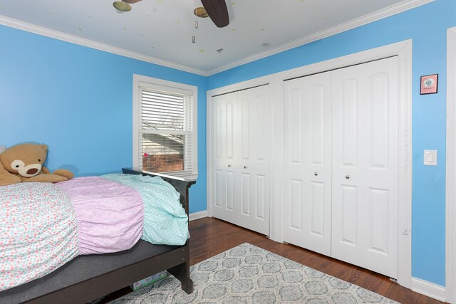 bedroom with baseboards, dark wood finished floors, ceiling fan, ornamental molding, and two closets