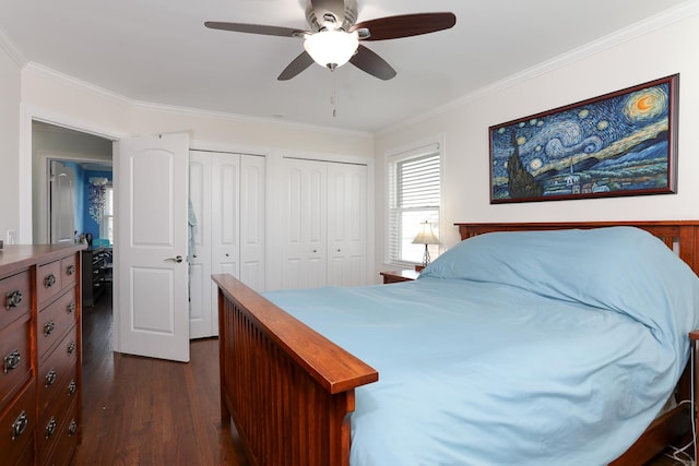 bedroom with ceiling fan, crown molding, dark wood-type flooring, and two closets