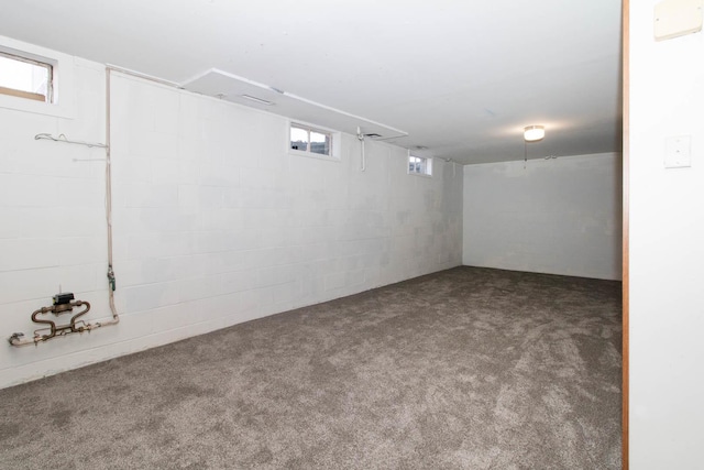 basement with carpet floors and concrete block wall