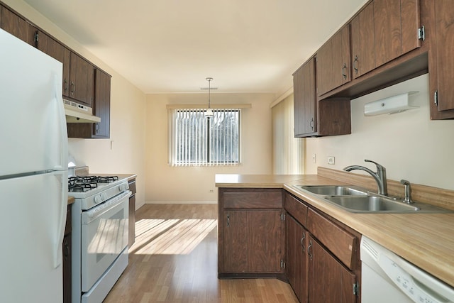 kitchen featuring under cabinet range hood, white appliances, a sink, light countertops, and light wood-type flooring