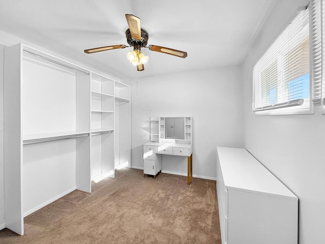 spacious closet featuring a ceiling fan and carpet