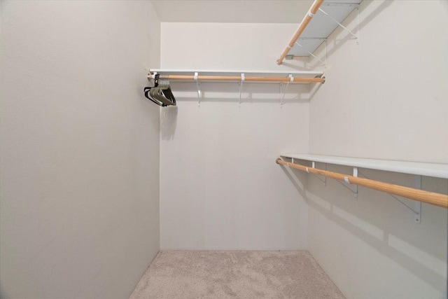 walk in closet with carpet floors