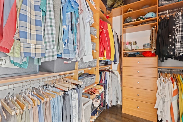 walk in closet with wood finished floors