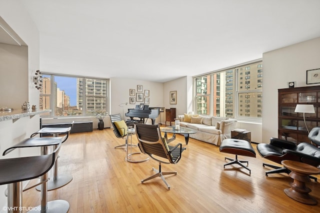 living area with light wood-style flooring and a city view