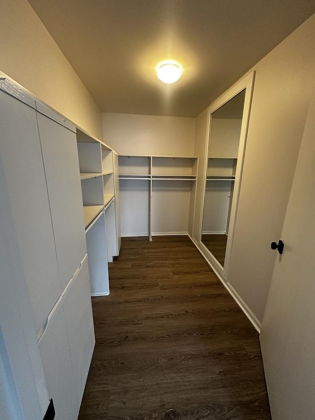 walk in closet featuring dark wood-style flooring