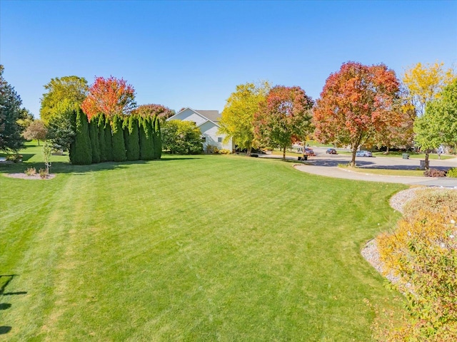 view of community with a lawn