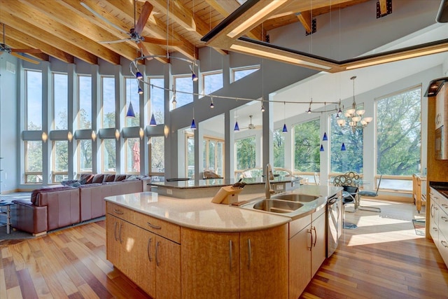 kitchen featuring an island with sink, light wood-style flooring, open floor plan, and a sink