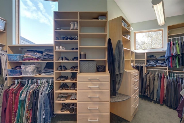 spacious closet featuring carpet floors and vaulted ceiling