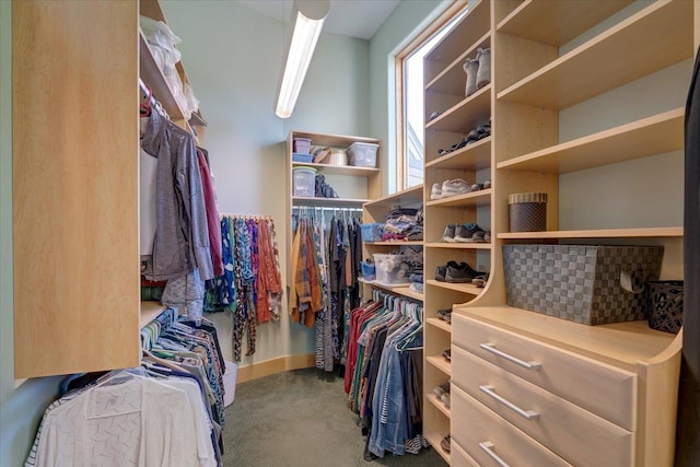 walk in closet with carpet